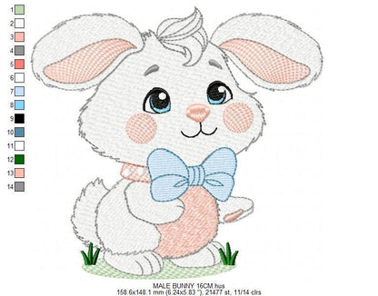 Male Bunny embroidery design - Rabbit with mushrooms with laurel frame machine embroidery pattern - Woodland animal file - instant download