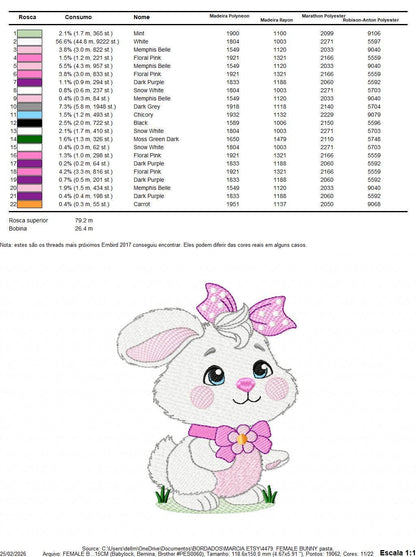 Female Bunny embroidery design - Rabbit with lace and laurel frame machine embroidery pattern - Woodland animal girl - Instant download pes