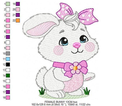 Female Bunny embroidery design - Rabbit with lace and laurel frame machine embroidery pattern - Woodland animal girl - Instant download pes