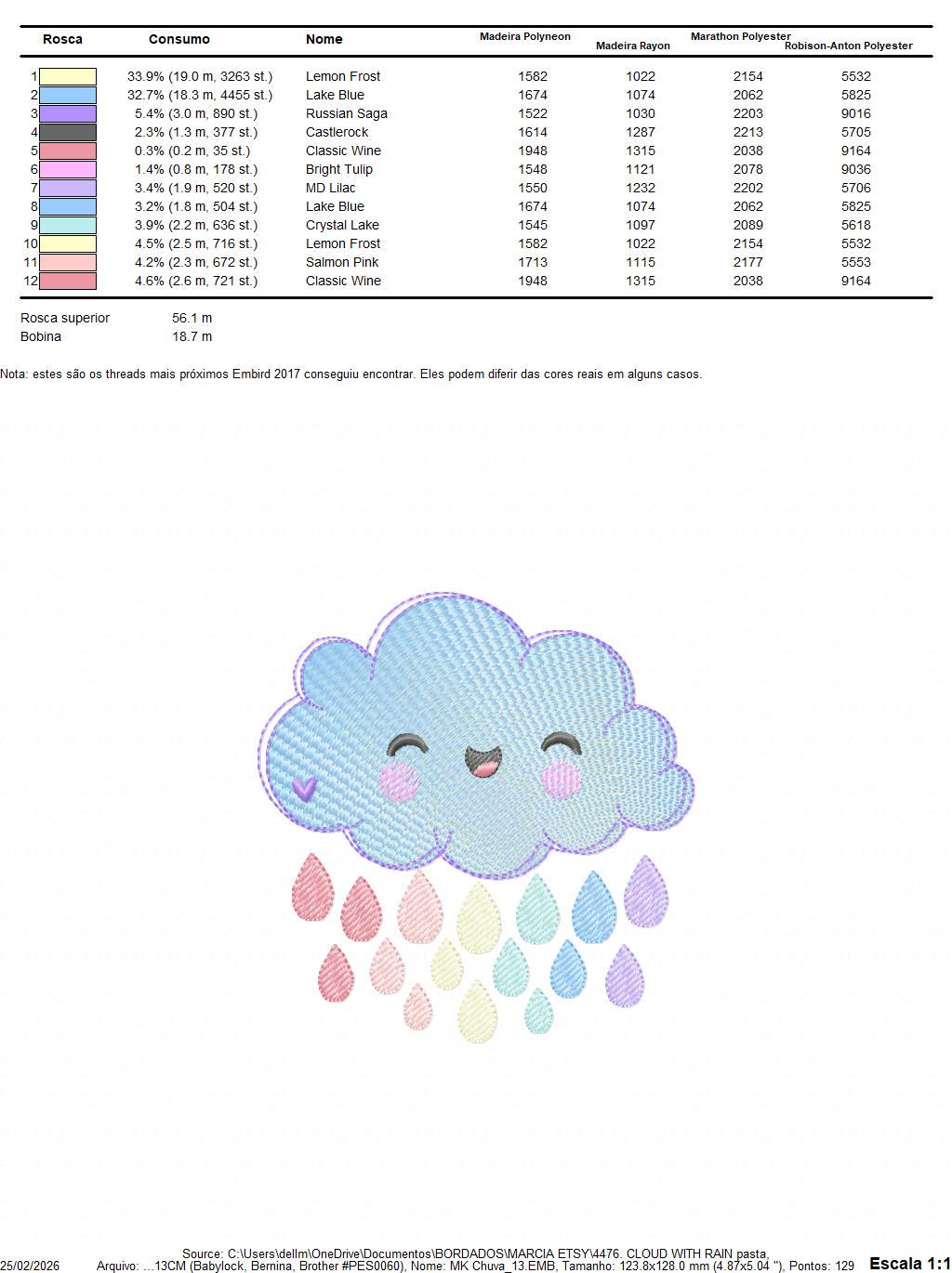 Raining Cloud embroidery design - Cloud with flowers and lace machine embroidery pattern - Cloud with happy face - Instant download pes jef