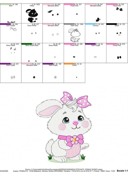 Female Bunny embroidery design - Rabbit with lace and laurel frame machine embroidery pattern - Woodland animal girl - Instant download pes
