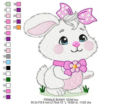 Female Bunny embroidery design - Rabbit with lace and laurel frame machine embroidery pattern - Woodland animal girl - Instant download pes