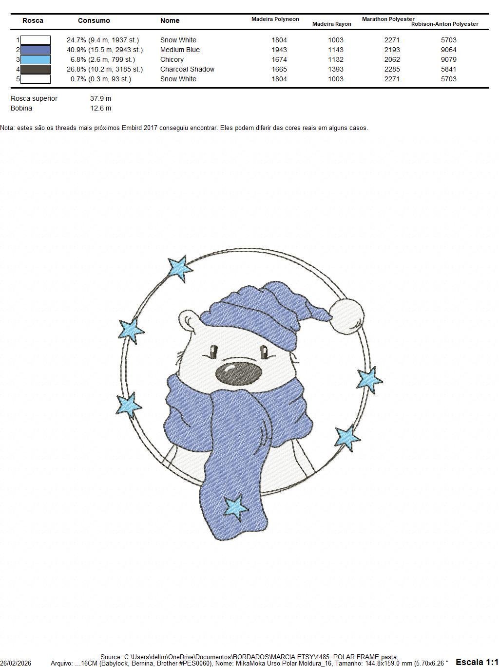 Polar Bear embroidery designs - Baby Boy Bear with hat and scarf machine embroidery pattern - Instant digital download pes jef dst hus vp3 - Marcia Embroidery