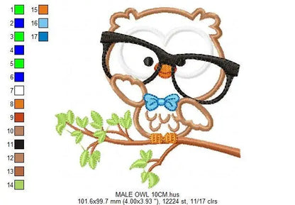 Owl embroidery design - Owl with glasses embroidery design machine embroidery pattern - Teacher embroidery file - bird owl applique design Marcia Embroidery
