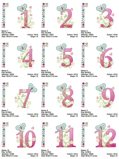 Numbers embroidery designs - Birthday Embroidery design Machine embroidery file - Embroidery numbers rippled - kid embroidery numbers design Marcia Embroidery