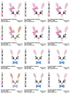 Bunny embroidery design - Rabbit embroidery designs machine embroidery pattern - baby girl embroidery file - nursery embroidery applique