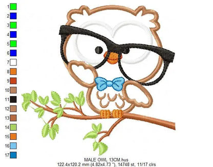 Owl embroidery design - Owl with glasses embroidery design machine embroidery pattern - Teacher embroidery file - bird owl applique design Marcia Embroidery