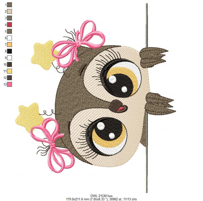 Owl embroidery design - Animal embroidery design machine embroidery pattern - Kitchen embroidery file - digital download owl with big eyes