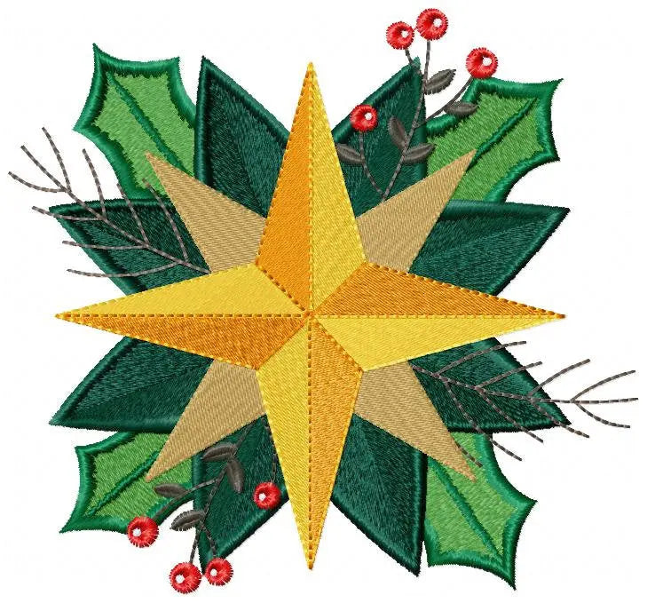 Christmas Star embroidery designs - Xmas Flower embroidery design machine embroidery pattern - Christmas embroidery file Poinsettia Marcia Embroidery