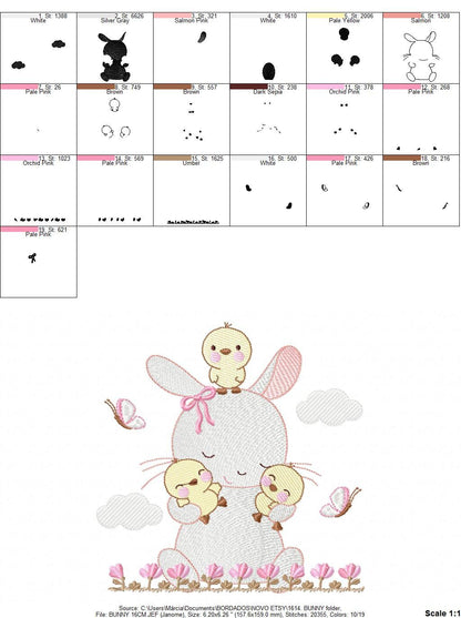 Bunny with birds embroidery design - Rabbit with little chicks machine embroidery pattern - Rabbit with flowers - Instant download pes jef - Marcia Embroidery