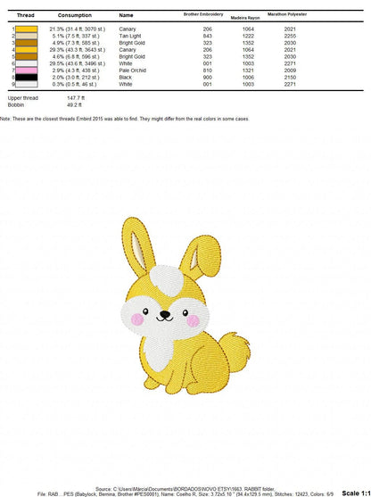 Easter Bunny embroidery design - Rabbit embroidery designs machine embroidery pattern - Baby boy embroidery file - instant download pes jef Marcia Embroidery