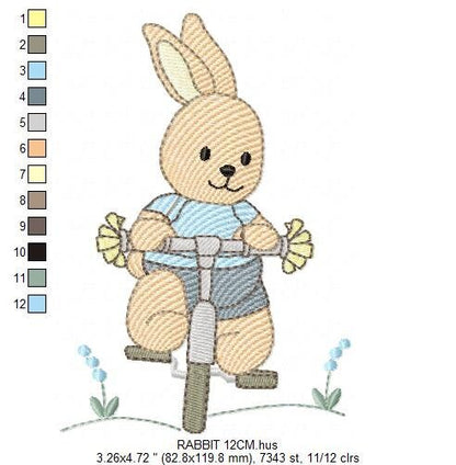 Bunny embroidery designs - Baby boy embroidery design machine embroidery pattern - Rabbit in a bike embroidery design - instant download pes