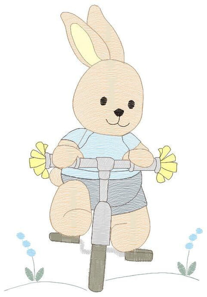 Bunny embroidery designs - Baby boy embroidery design machine embroidery pattern - Rabbit in a bike embroidery design - instant download pes