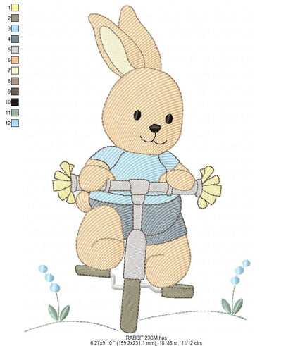 Bunny embroidery designs - Baby boy embroidery design machine embroidery pattern - Rabbit in a bike embroidery design - instant download pes