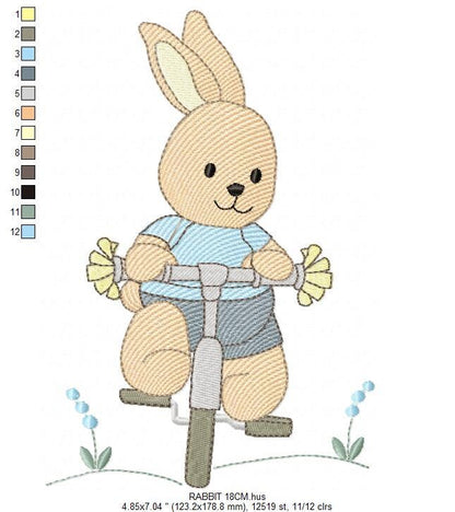 Bunny embroidery designs - Baby boy embroidery design machine embroidery pattern - Rabbit in a bike embroidery design - instant download pes