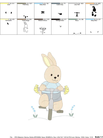 Bunny embroidery designs - Baby boy embroidery design machine embroidery pattern - Rabbit in a bike embroidery design - instant download pes