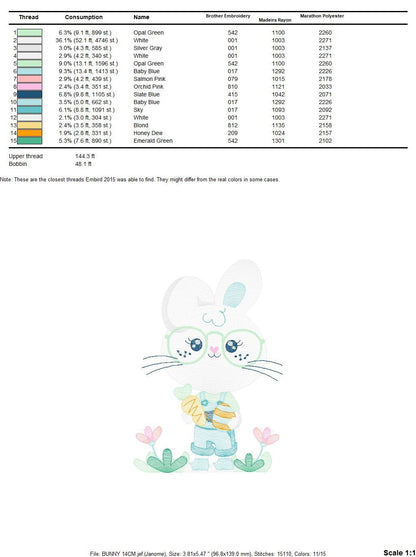 Easter Bunny embroidery design - Rabbit embroidery designs machine embroidery pattern - baby embroidery file - rabbit with carrot applique