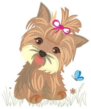 Laden Sie das Bild in den Galerie-Viewer, Yorkshire embroidery designs - Dog embroidery design machine embroidery pattern - Puppy embroidery file - Pet embroidery instant download
