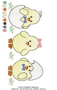 Baby Chick embroidery designs - Chicken embroidery design machine embroidery pattern - baby boy embroidery file - instant digital download