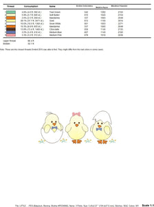 Baby Chick embroidery designs - Chicken embroidery design machine embroidery pattern - baby boy embroidery file - instant digital download