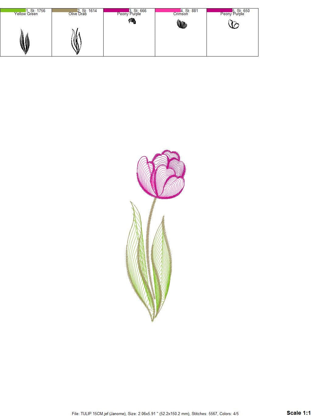 Delicate Tulip embroidery designs - Flower embroidery design machine embroidery pattern - Floral embroidery file - instant download pes jef Marcia Embroidery
