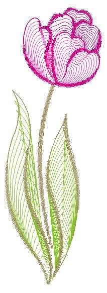 Delicate Tulip embroidery designs - Flower embroidery design machine embroidery pattern - Floral embroidery file - instant download pes jef Marcia Embroidery