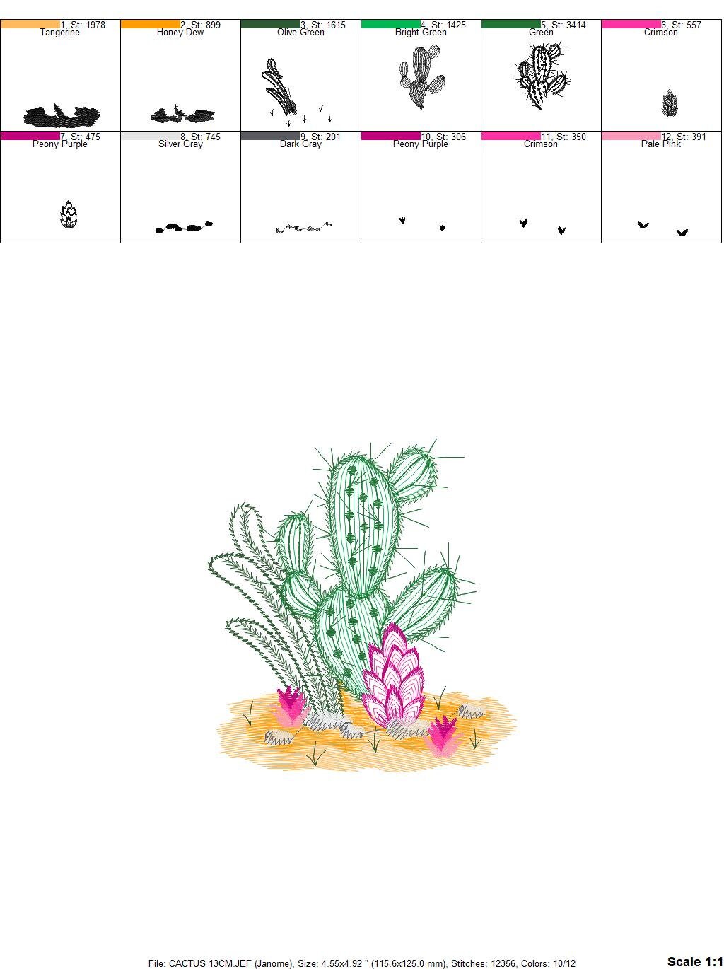 Cactus embroidery designs - Succulent embroidery design machine embroidery pattern - Mexican cactus design - plant embroidery file desert