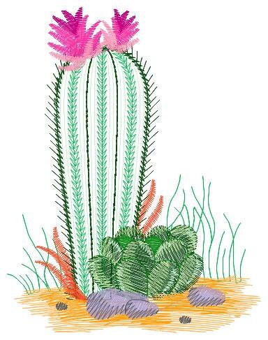 Cactus embroidery designs - Succulent embroidery design machine embroidery pattern - Mexican cactus design - plant embroidery file desert