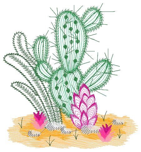 Cactus embroidery designs - Succulent embroidery design machine embroidery pattern - Mexican cactus design - plant embroidery file desert